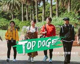 91吃瓜网《TOP DOG》免费在线观看