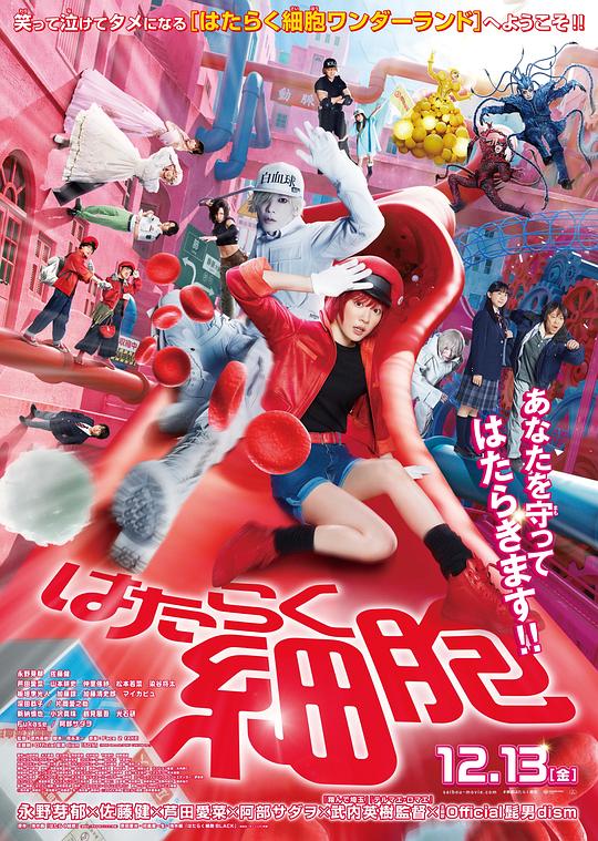 91吃瓜爆料《工作细胞 真人版 はたらく細胞》免费在线观看