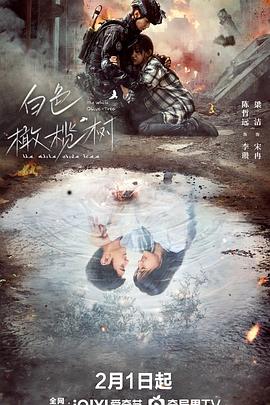 91吃瓜黑料网《白色橄榄树》免费在线观看