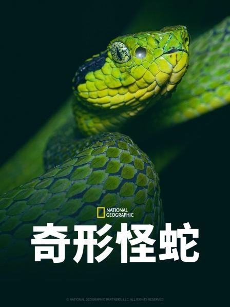 91吃瓜黑料网《奇形怪蛇》免费在线观看